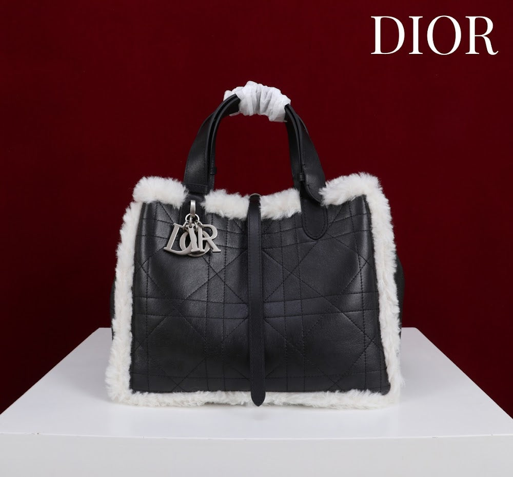 Anum Bags Diorn Luxury Bag --114889