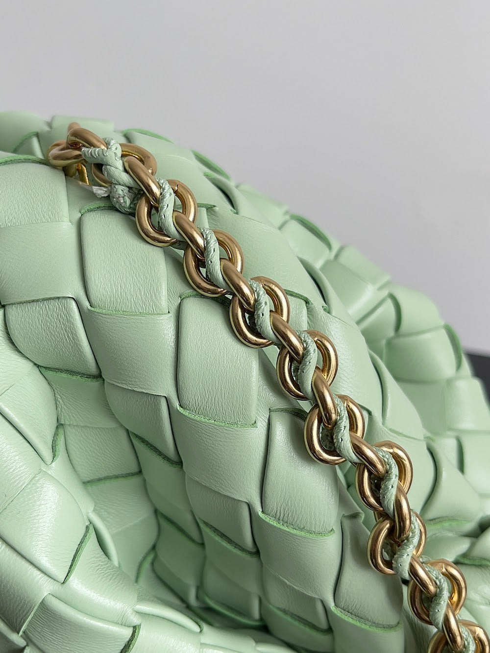 Ezyycart Bags Bottegan Luxury Bag --91265
