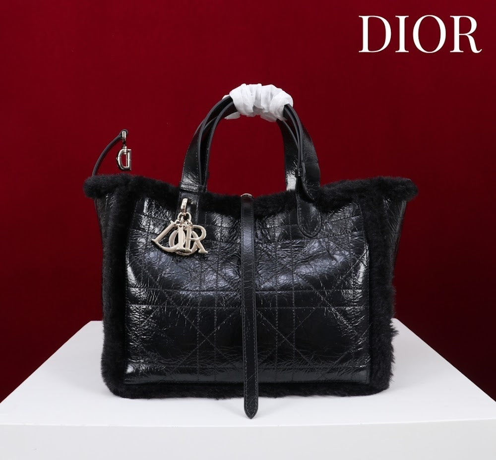 Ezyycart Bags Diorn Luxury Bag --116119