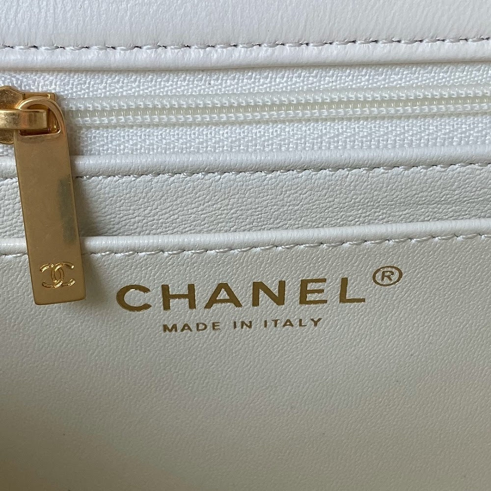 new-luxury-designer-bags-nm20546