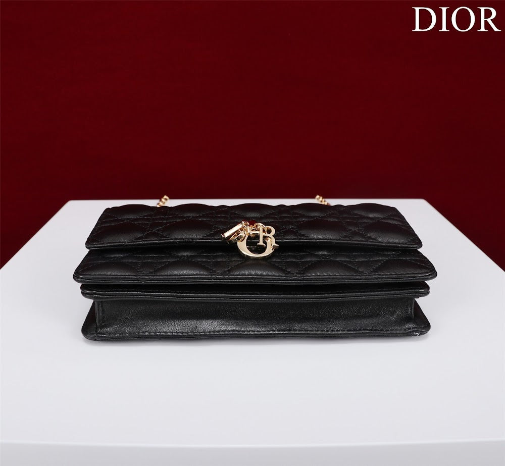 Ezyycart Bags Diorn Luxury Bag --116234