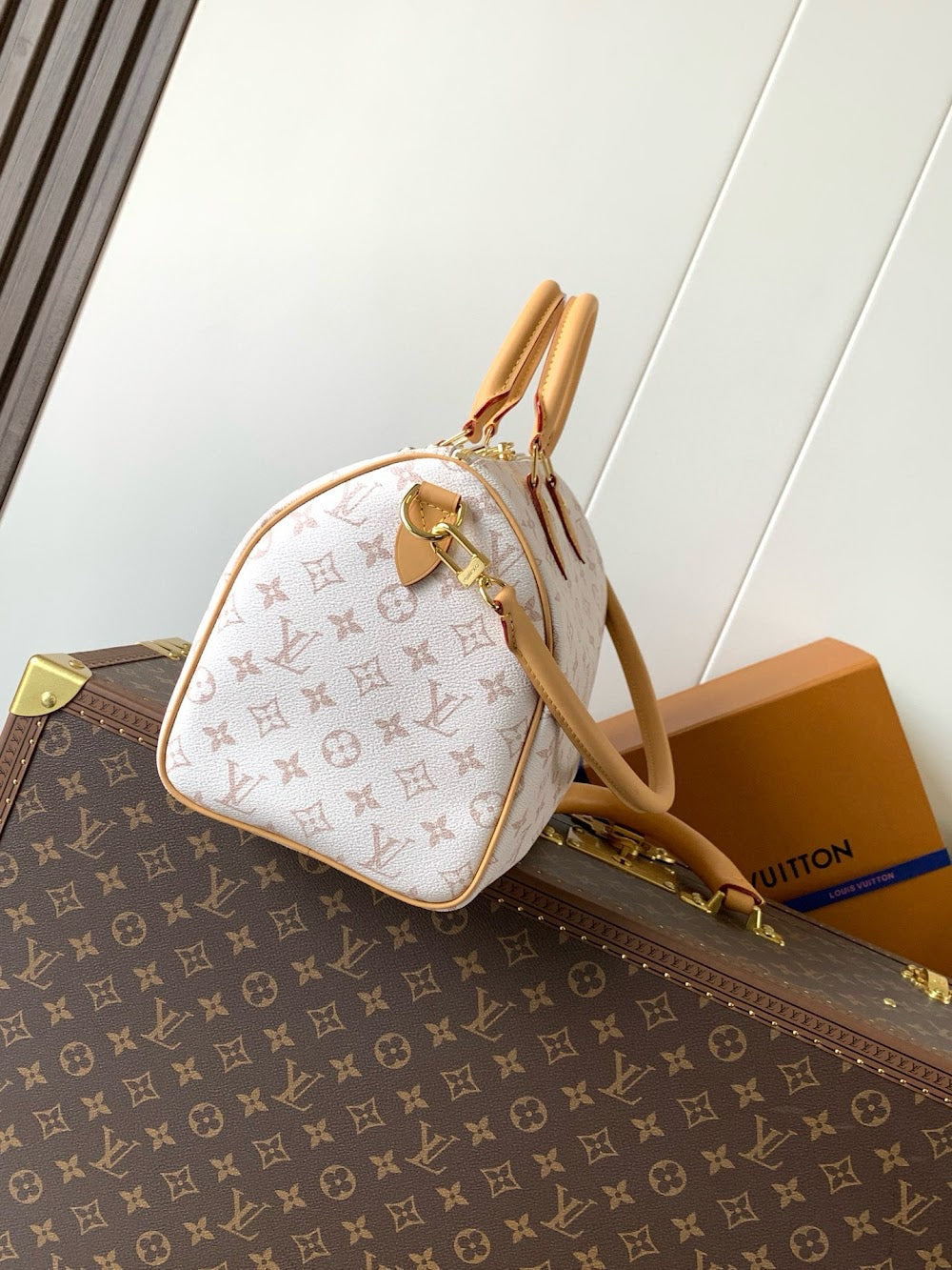 Anum Bags LVn Luxury Bag --79216
