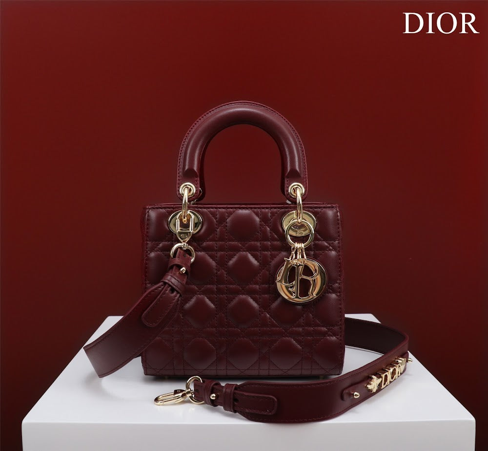 Ezyycart Bags Diorn Luxury Bag --115921