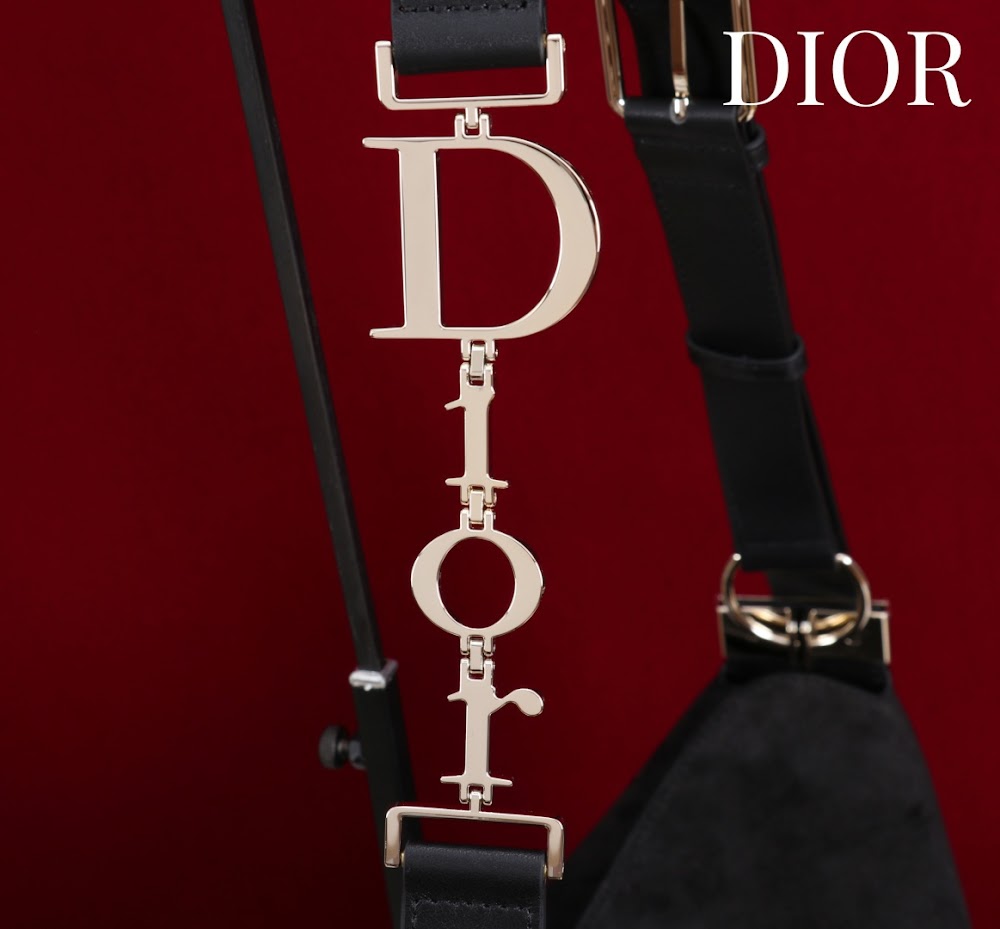Ezyycart Bags Diorn Luxury Bag --115361