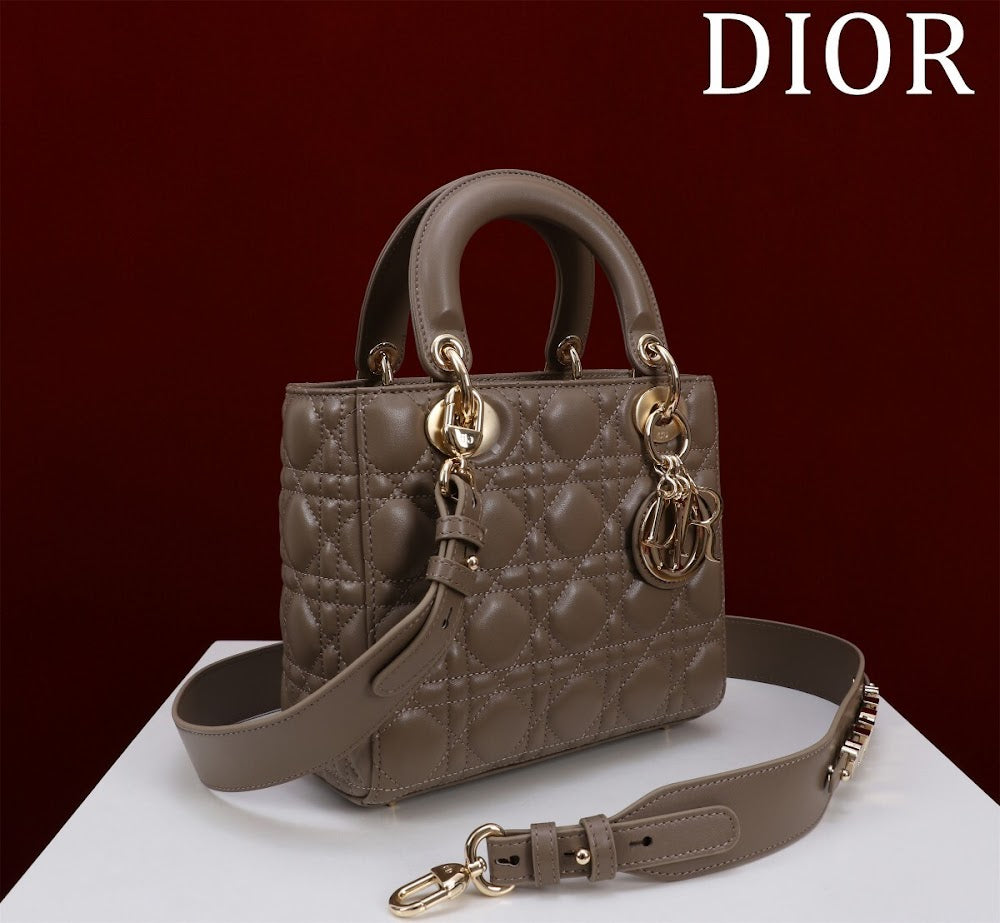 Ezyycart Bags Diorn Luxury Bag --115914