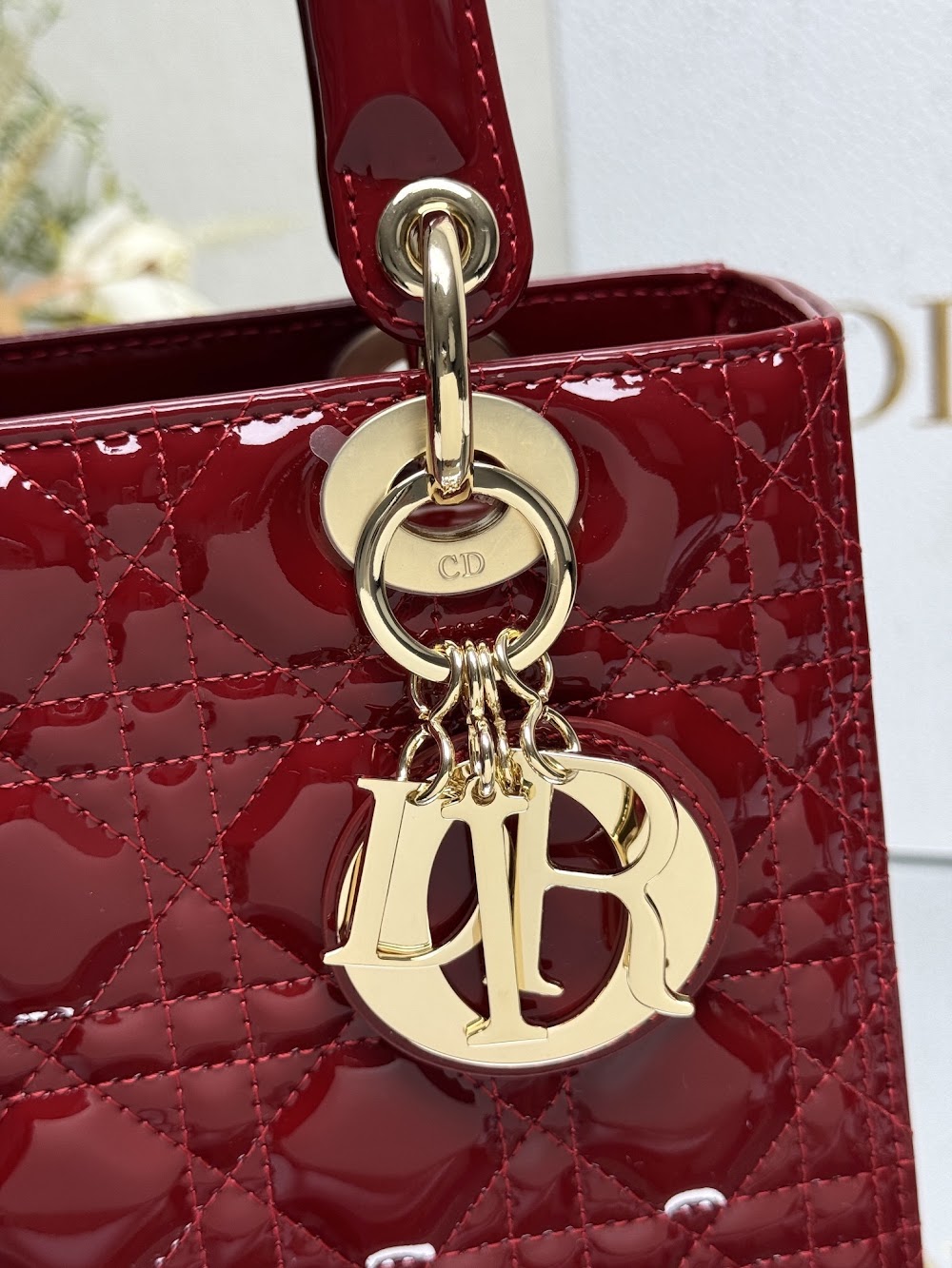 Ezyycart Bags Diorn Luxury Bag --115910