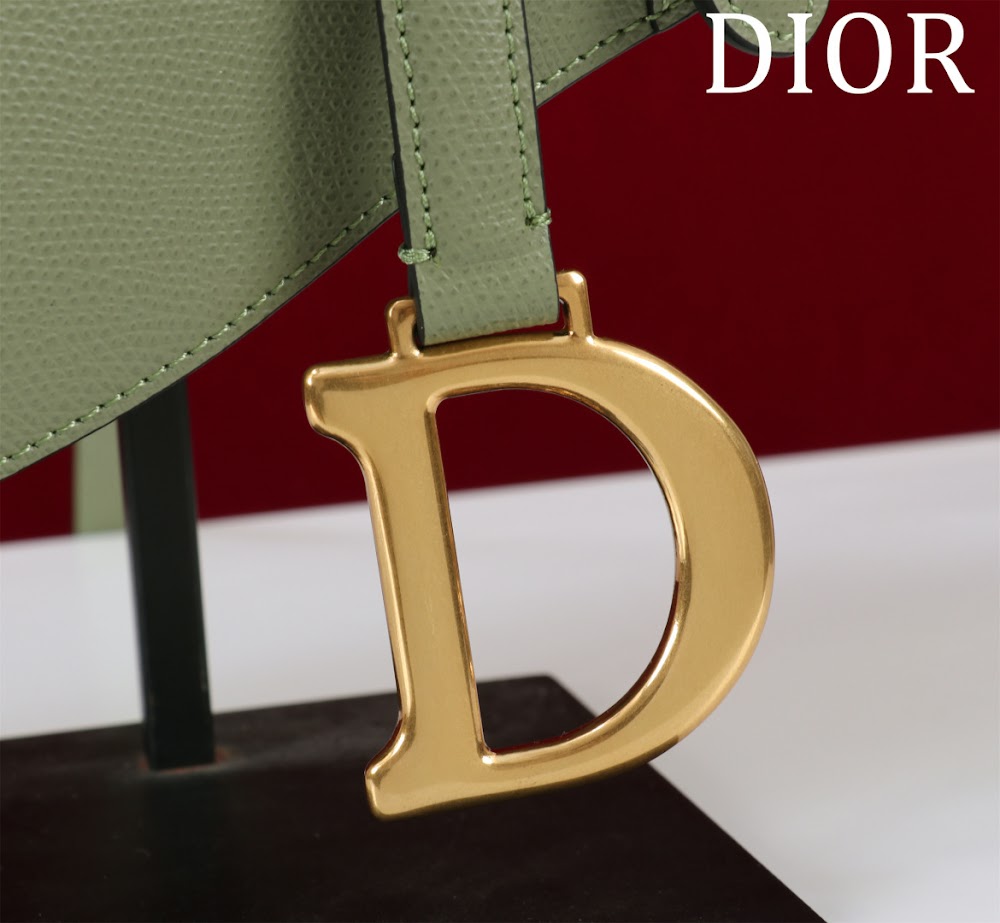 Ezyycart Bags Diorn Luxury Bag --116507