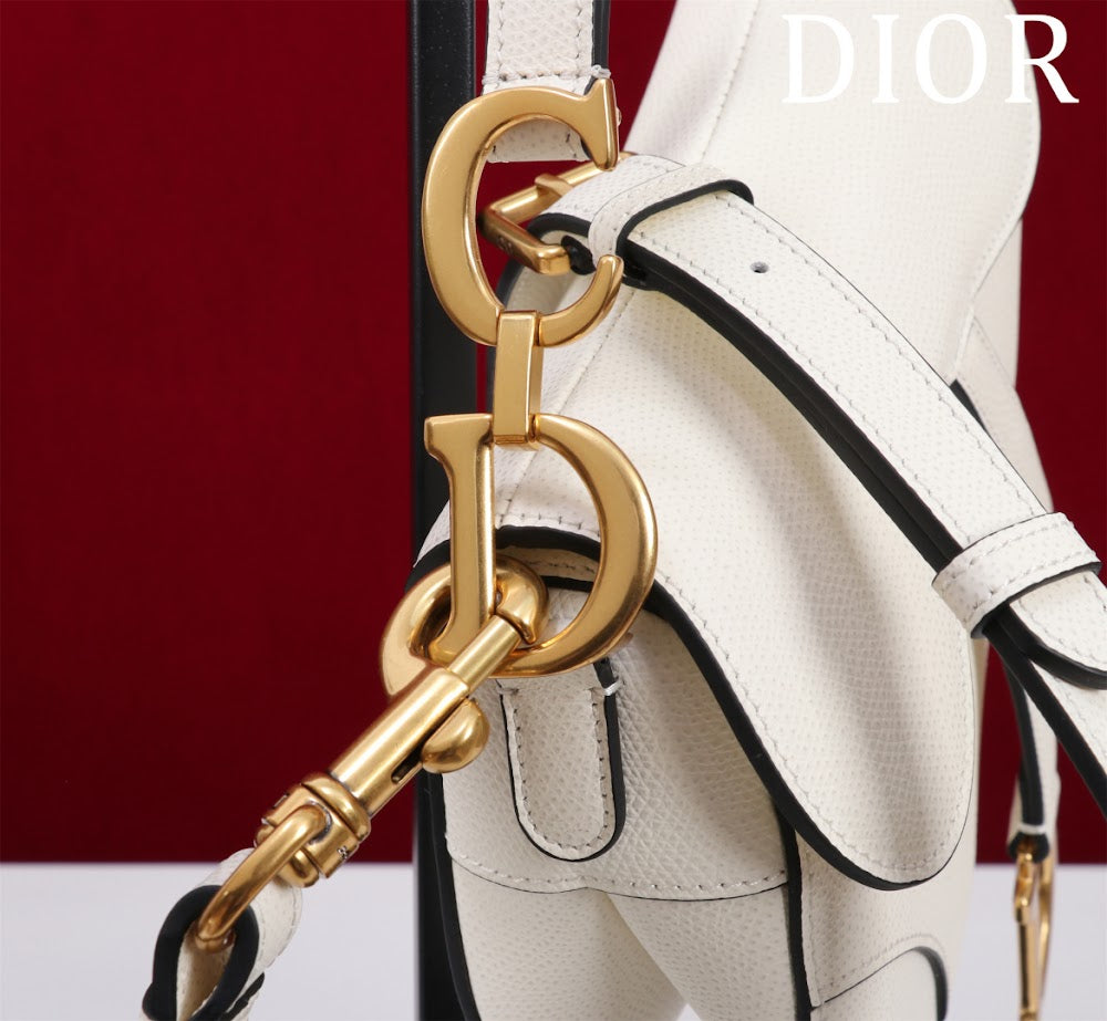 Ezyycart Bags Diorn Luxury Bag --116502