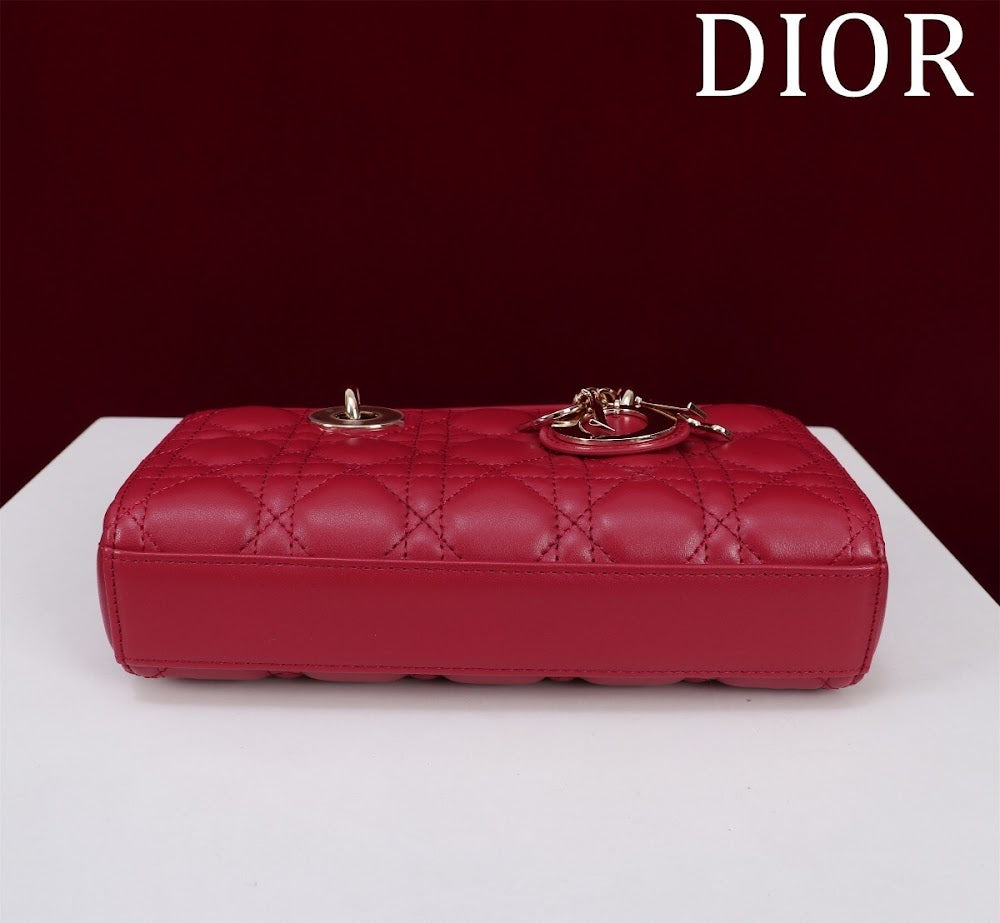 Ezyycart Bags Diorn Luxury Bag --114756