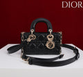 Ezyycart Bags Diorn Luxury Bag --115414