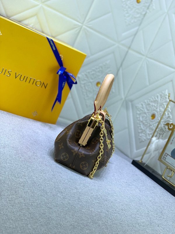 Anum Bags LVn Luxury Bag --79987