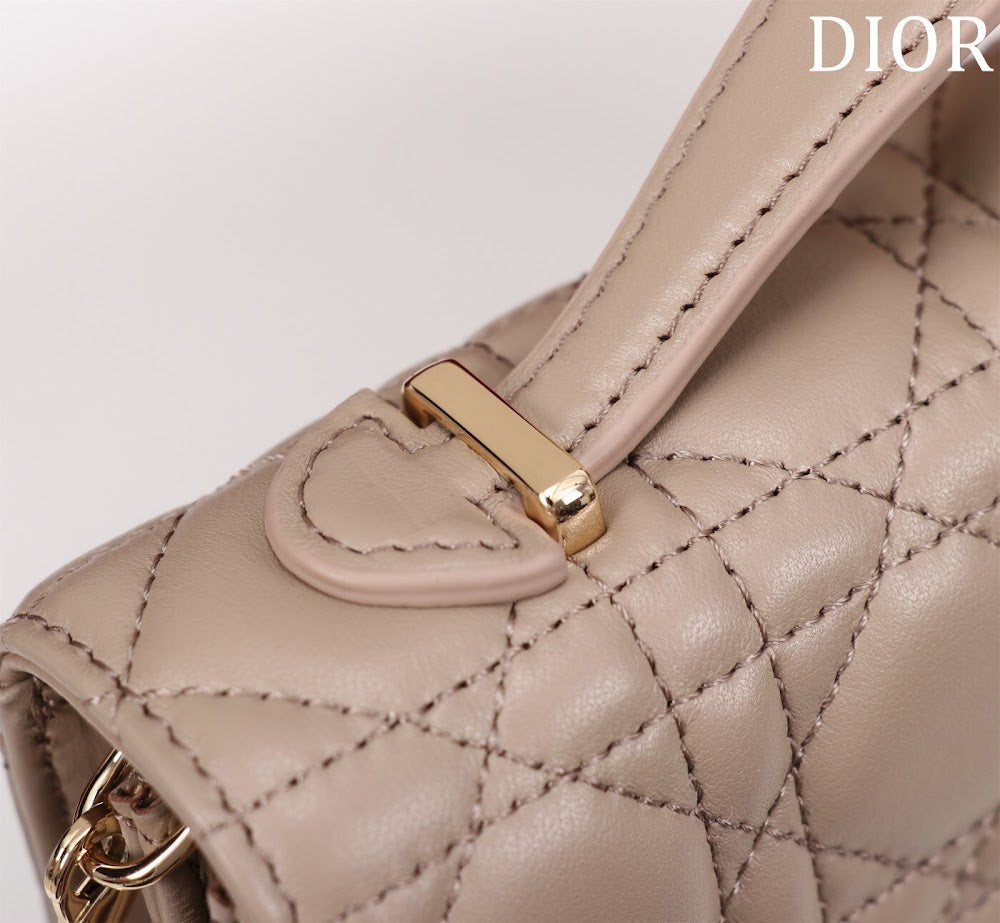 Ezyycart Bags Diorn Luxury Bag --116242