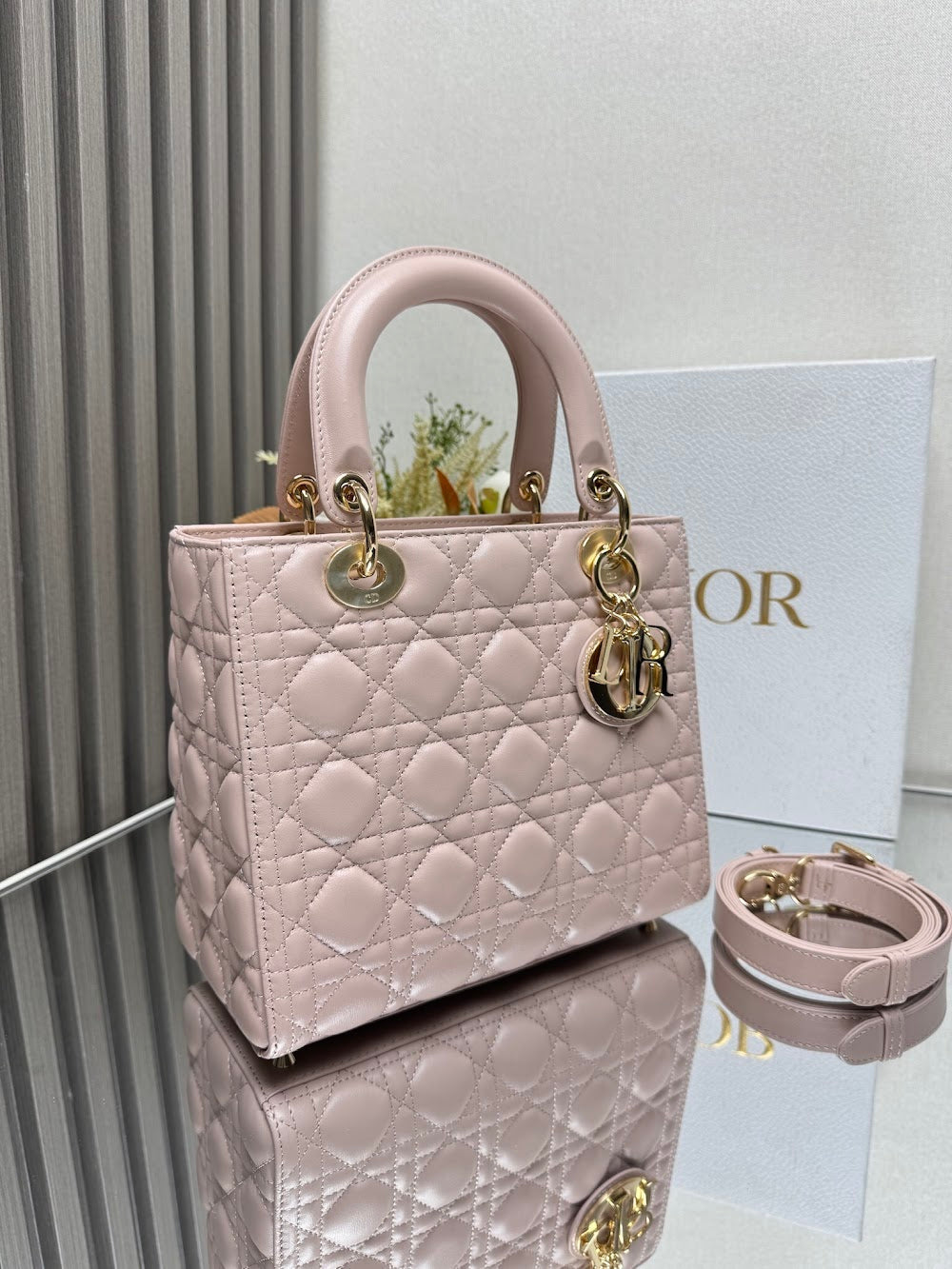 Ezyycart Bags Diorn Luxury Bag --116019