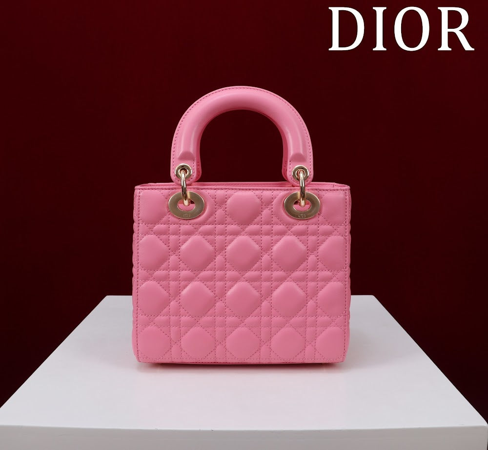 Ezyycart Bags Diorn Luxury Bag --115917