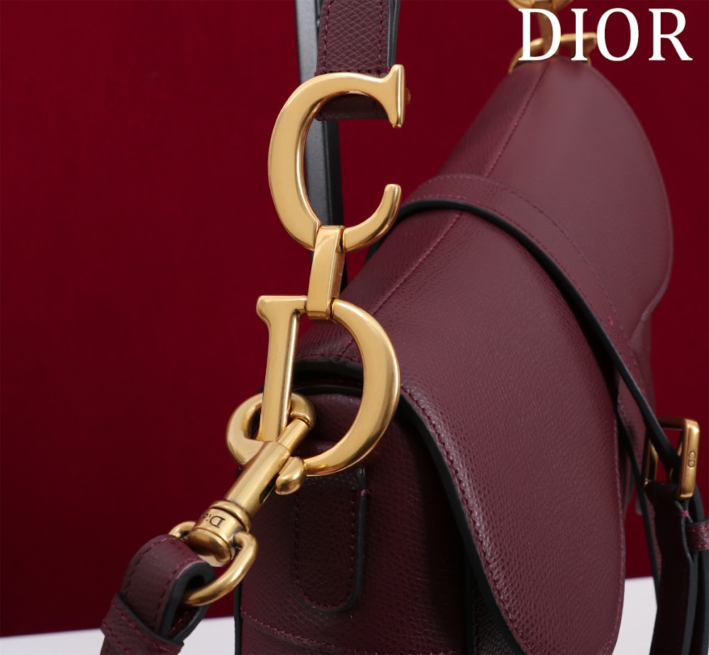 Ezyycart Bags Diorn Luxury Bag --116495