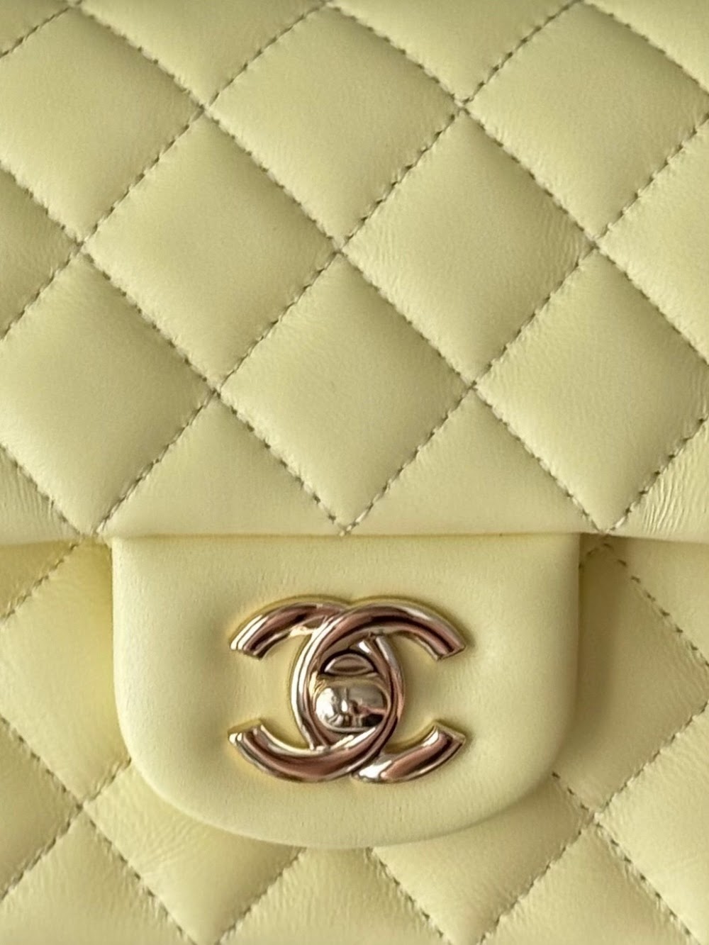 Anum Bags CHn Luxury Bag --112996