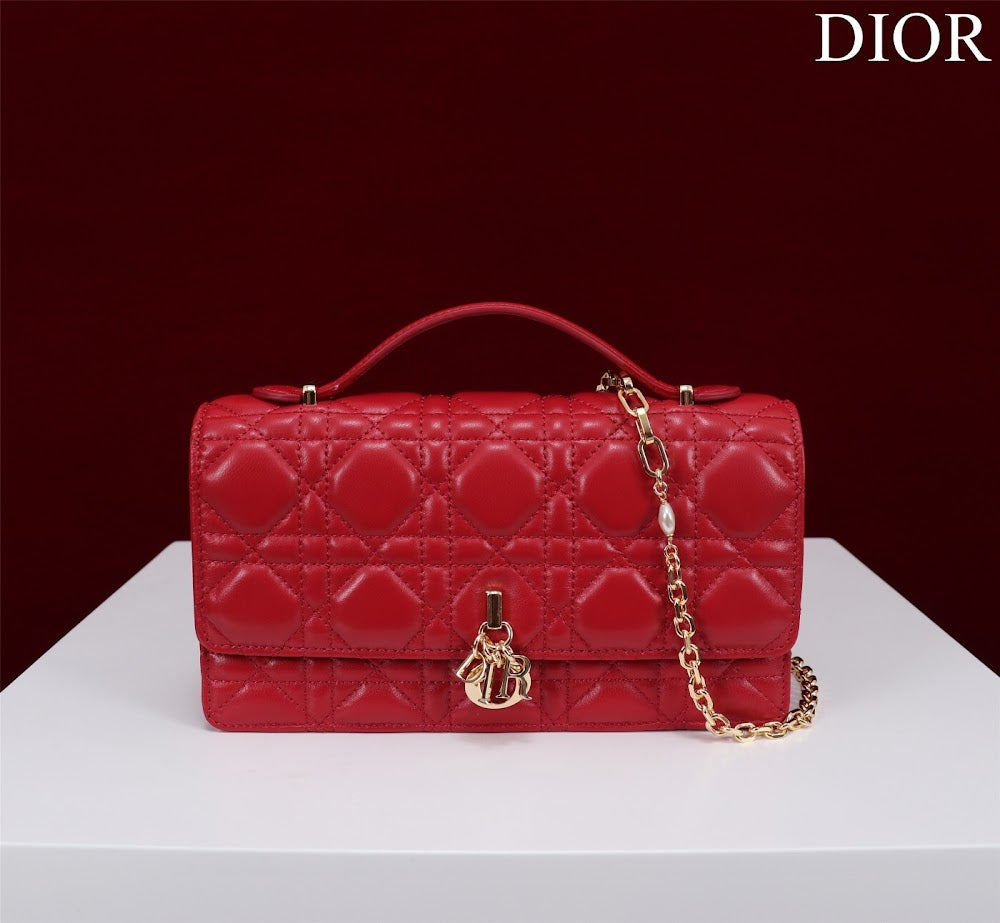 Ezyycart Bags Diorn Luxury Bag --116231