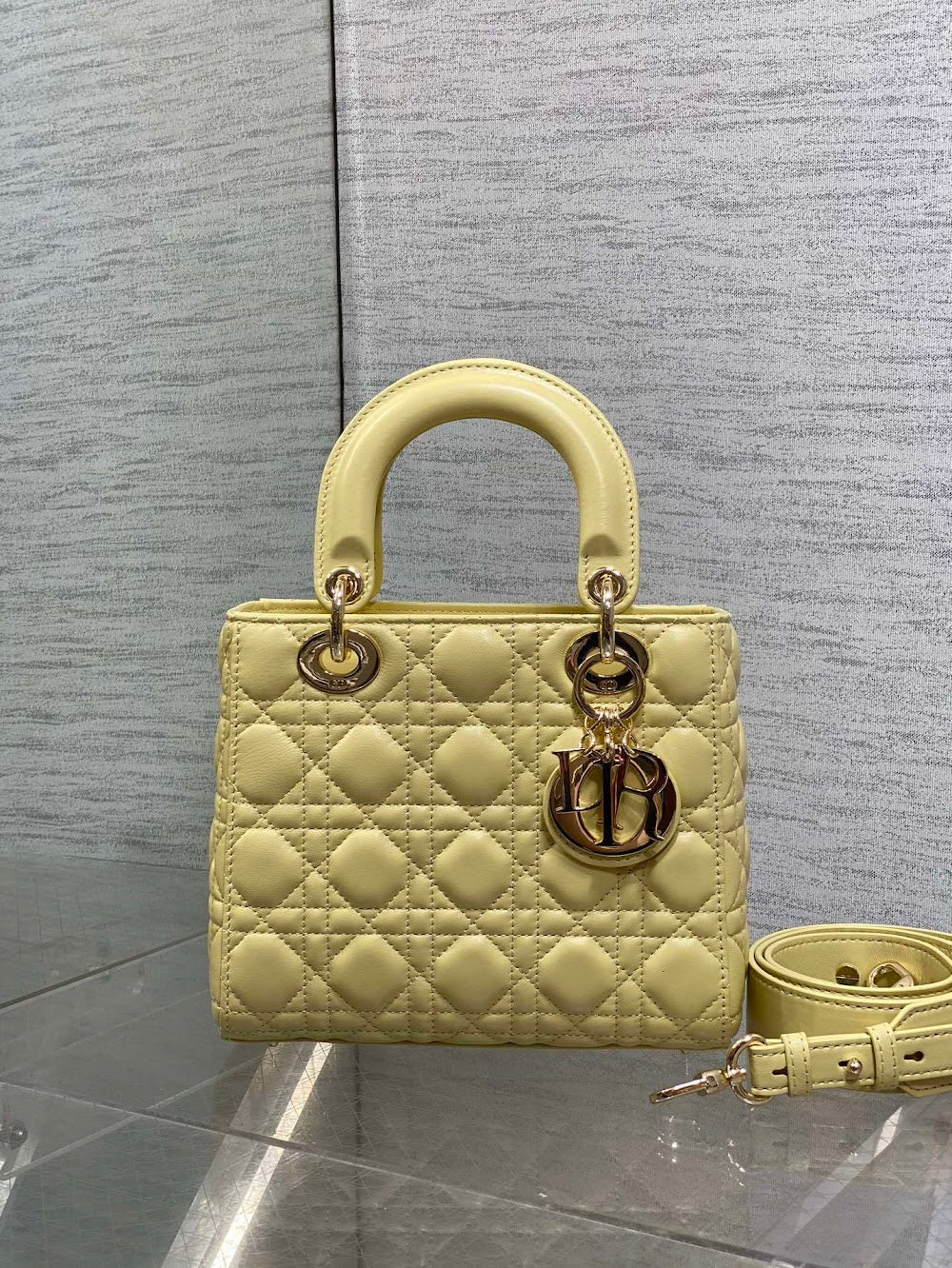 new-designer-premium-bags-nm16474