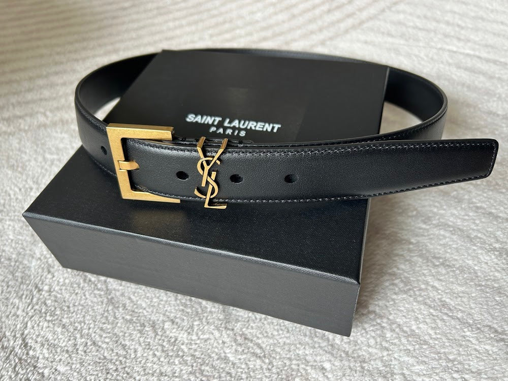 Ezyycart Bags YSLn Luxury Belt --110517