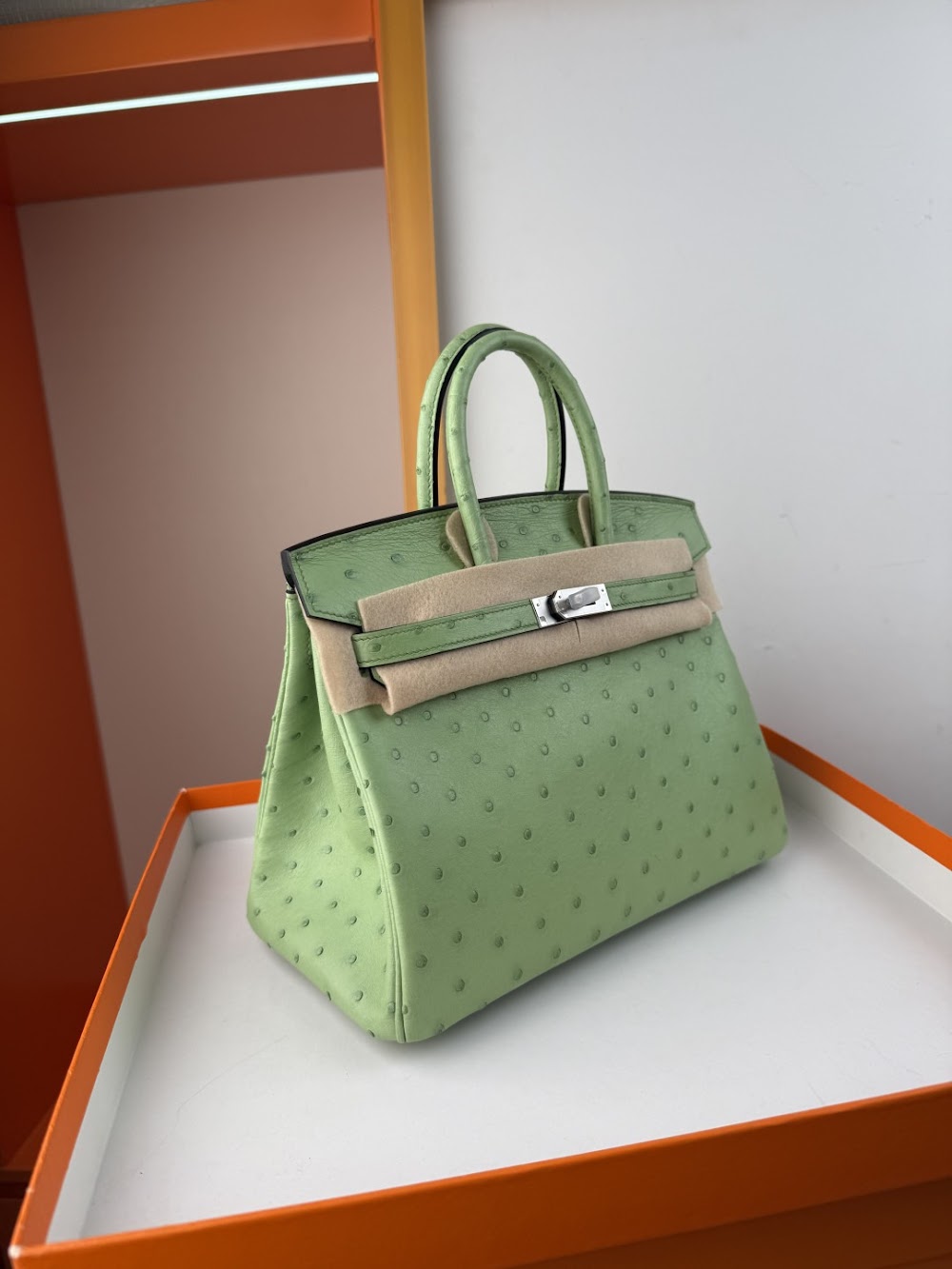 Anum Bags Hermesn Luxury Bag --116758