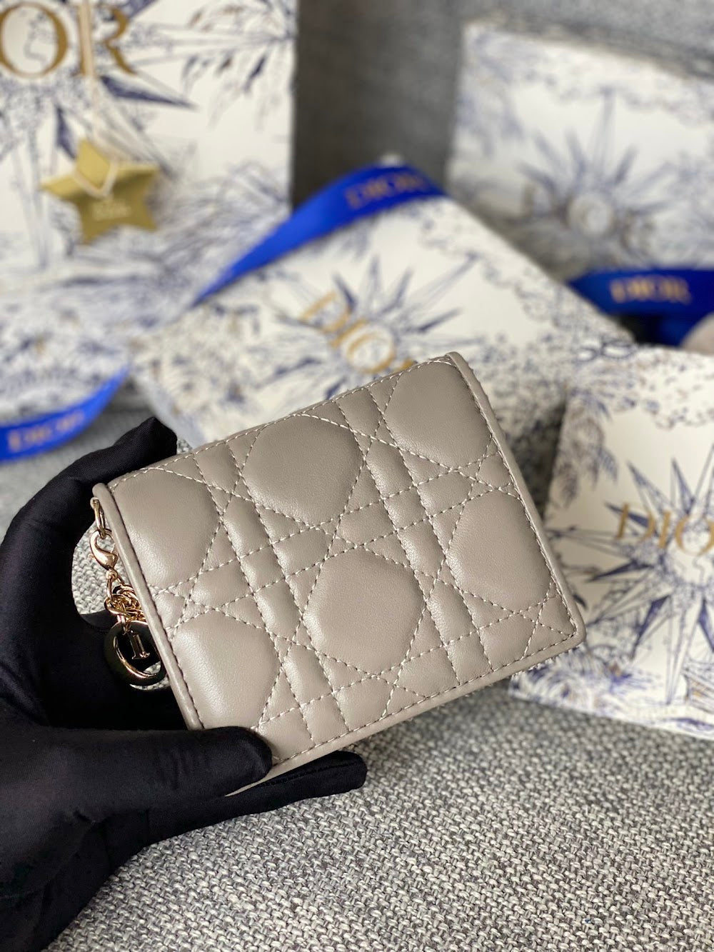 Ezyycart Bags Diorn Luxury Bag --115228