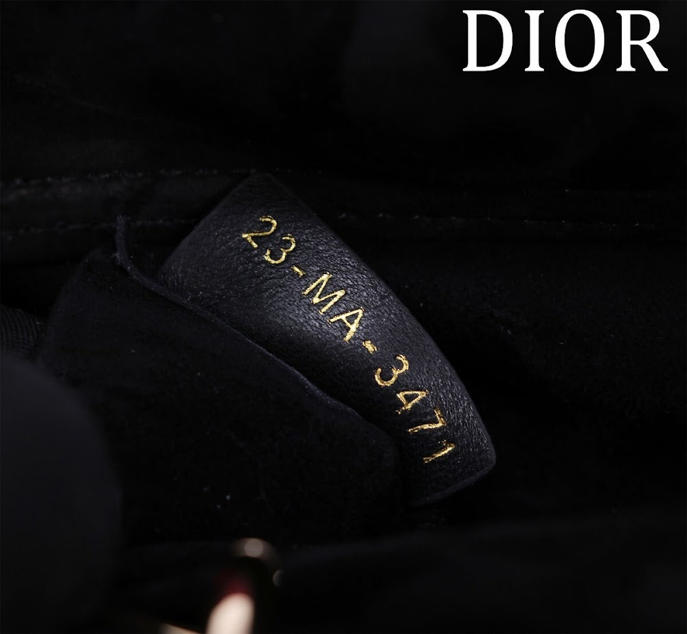 Anum Bags Diorn Luxury Bag --114862