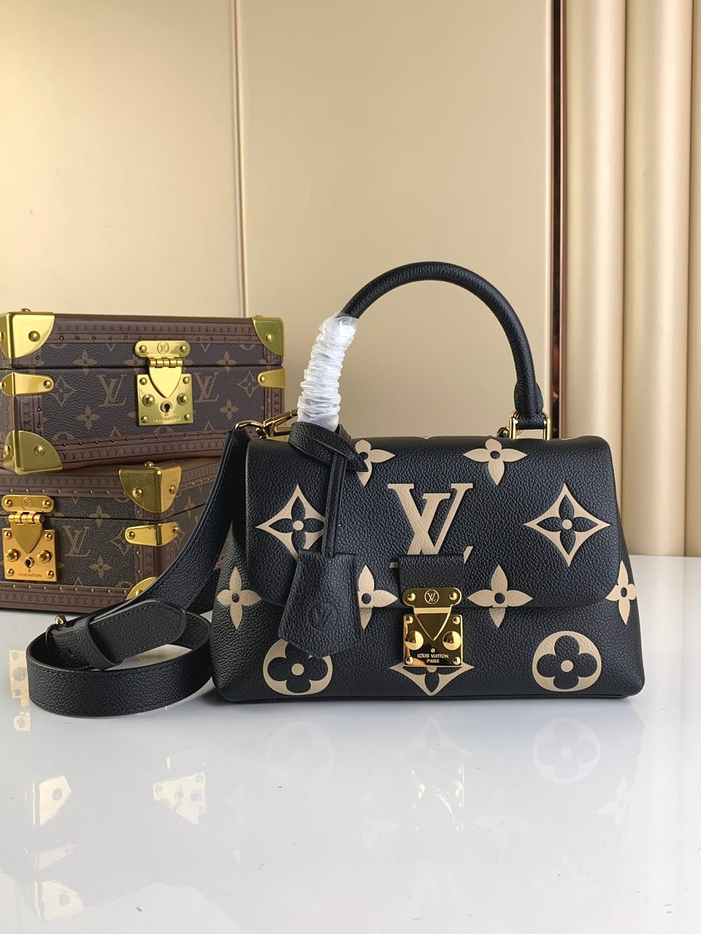 Anum Bags ln Luxury Bag --61002
