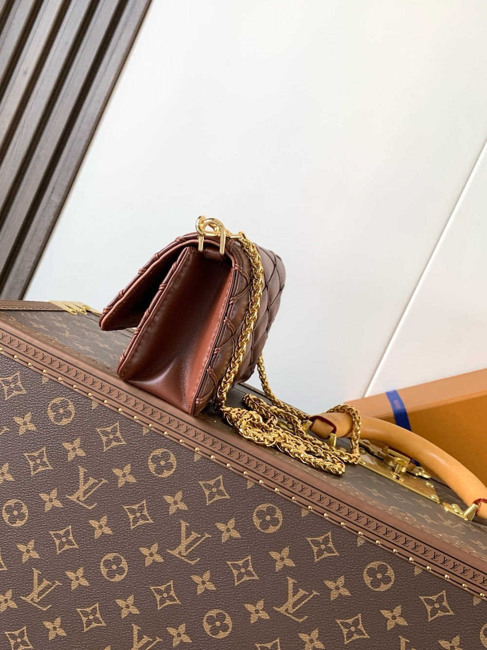 Anum Bags LVn Luxury Bag --78956