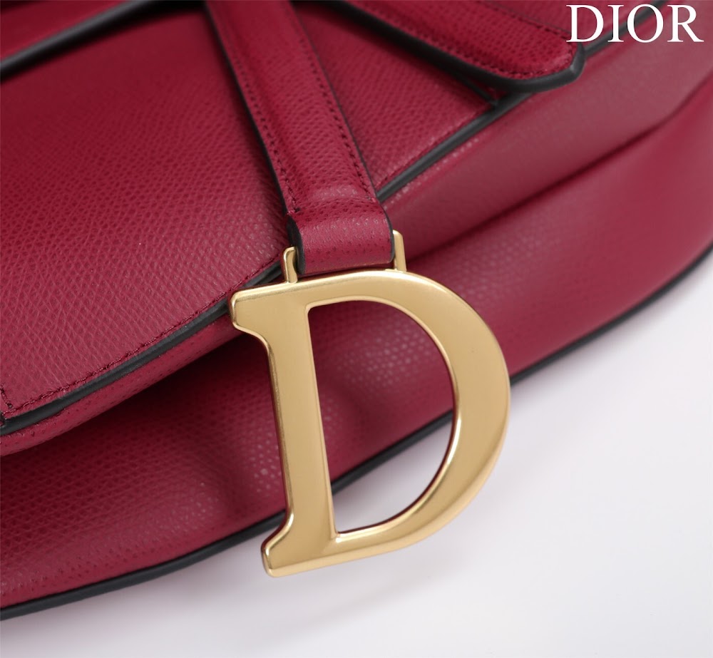 Ezyycart Bags Diorn Luxury Bag --116519