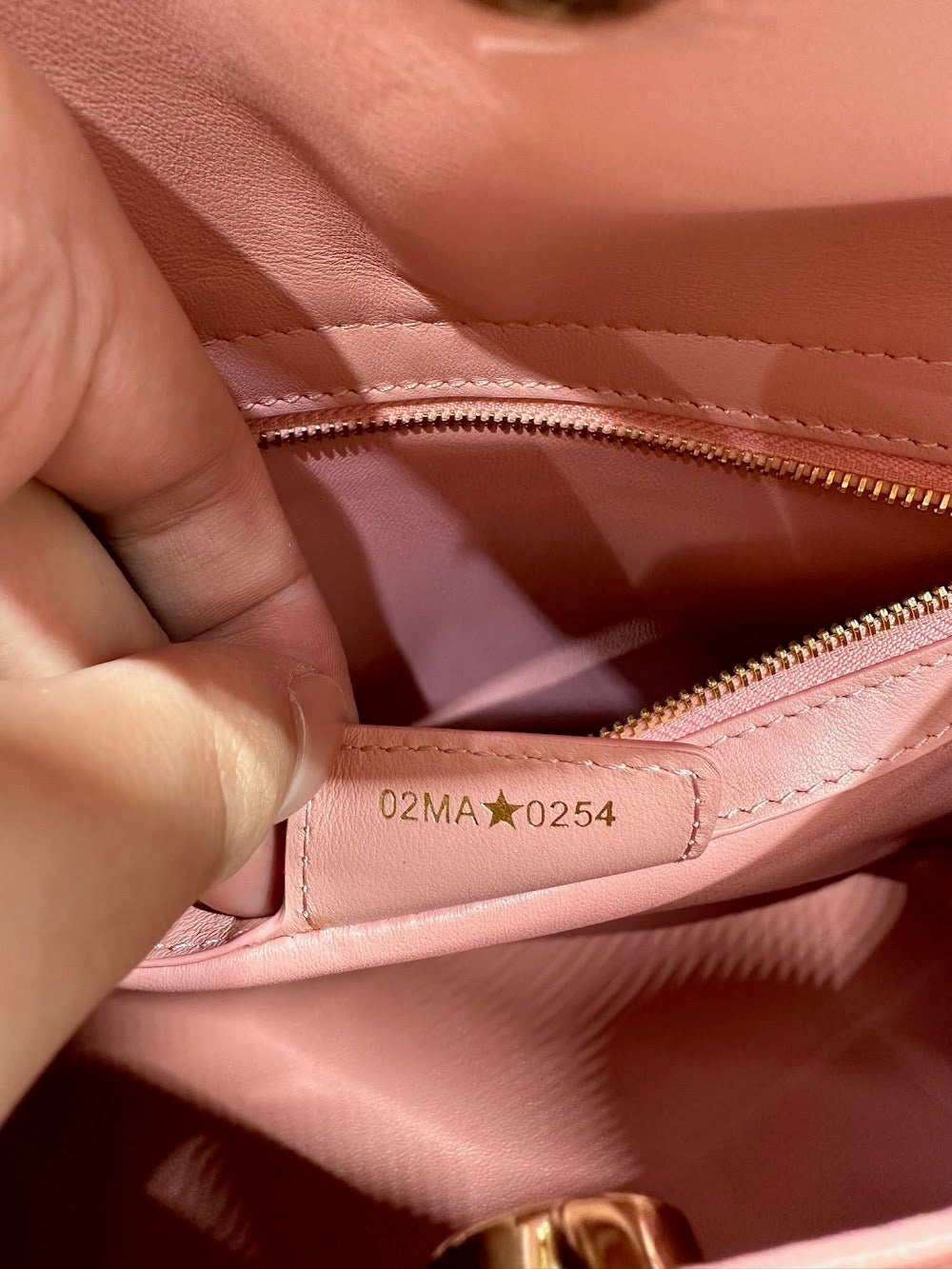 Anum Bags Diorn Luxury Bag --114868