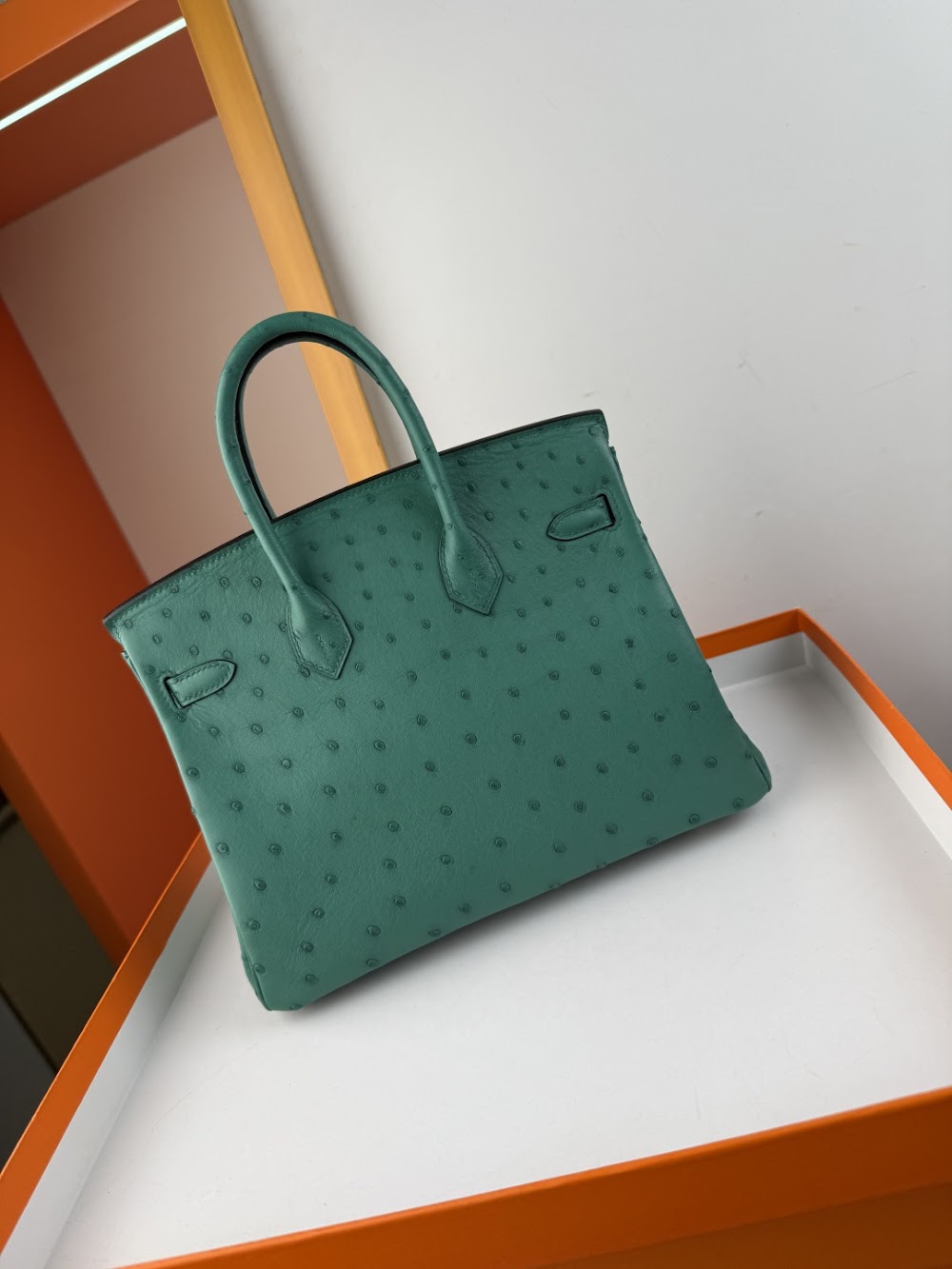 Anum Bags Hermesn Luxury Bag --116756