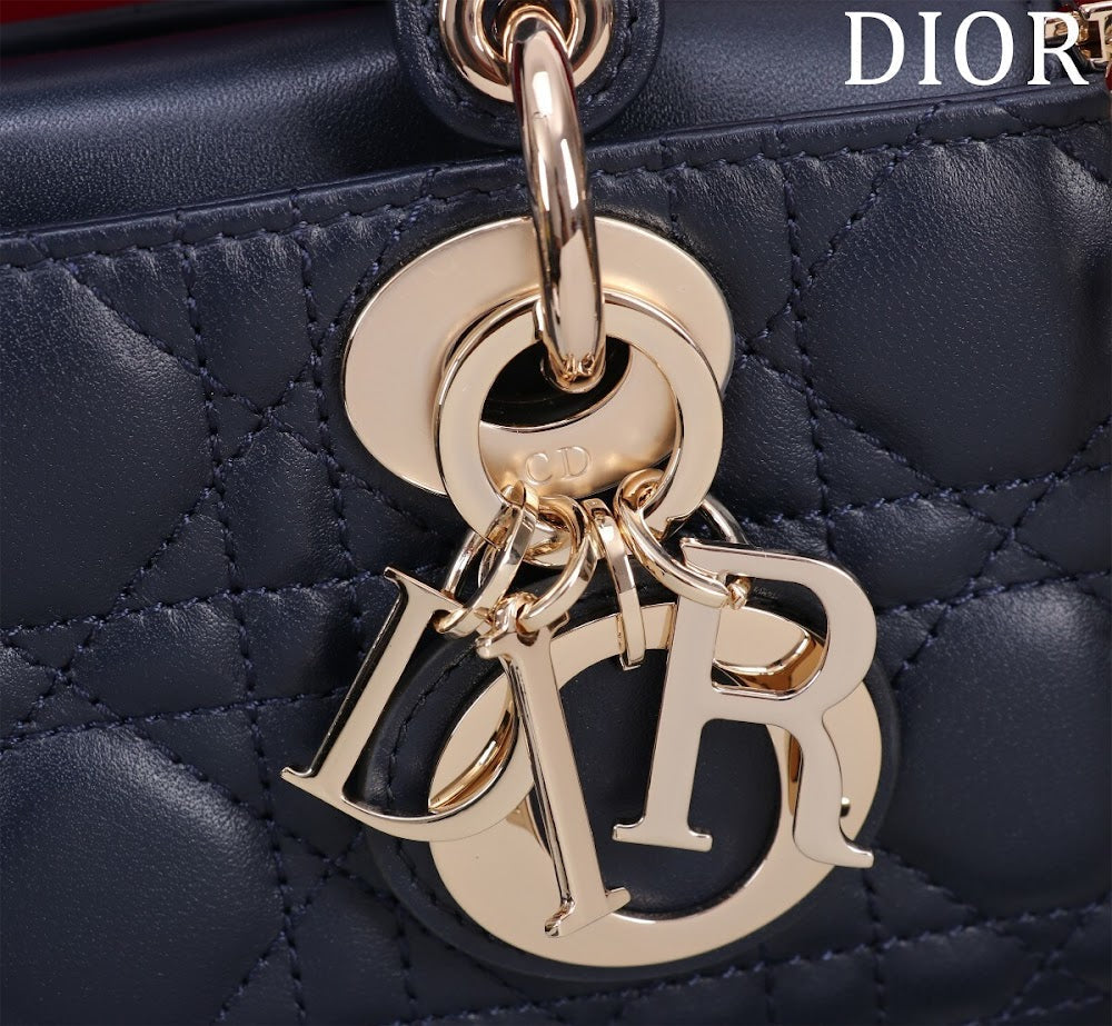 Anum Bags Diorn Luxury Bag --114763