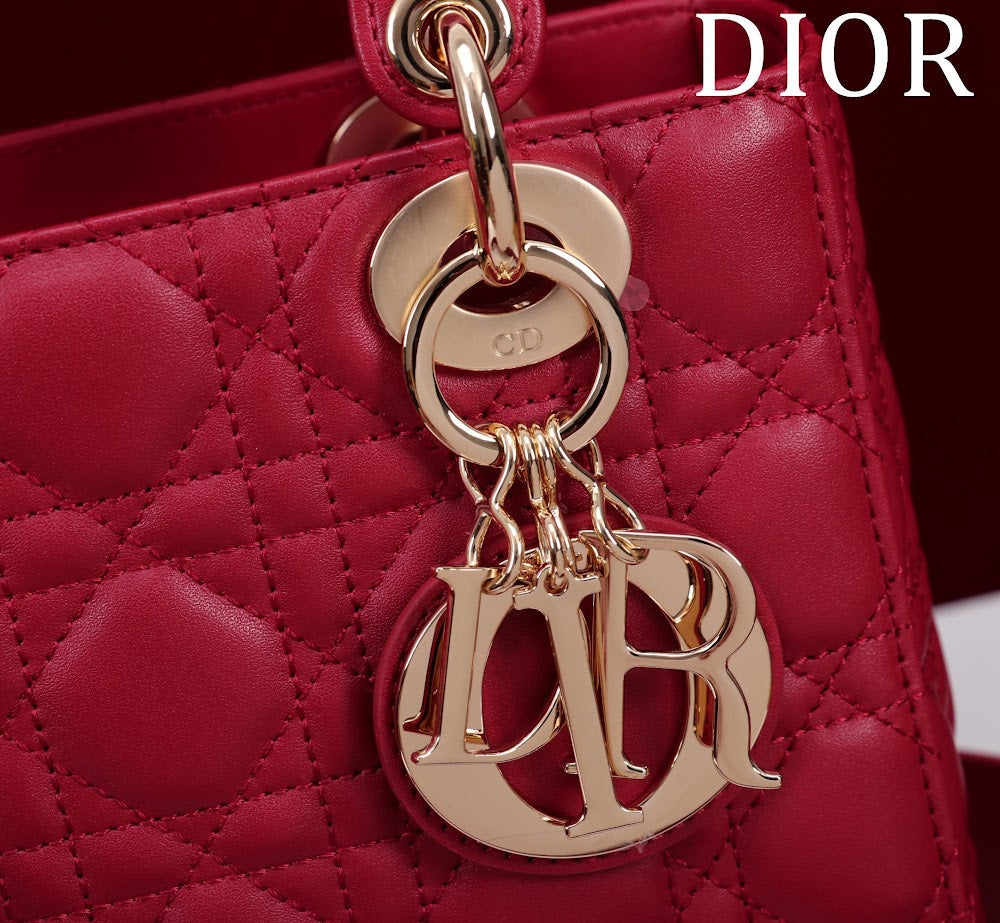 Ezyycart Bags Diorn Luxury Bag --115920