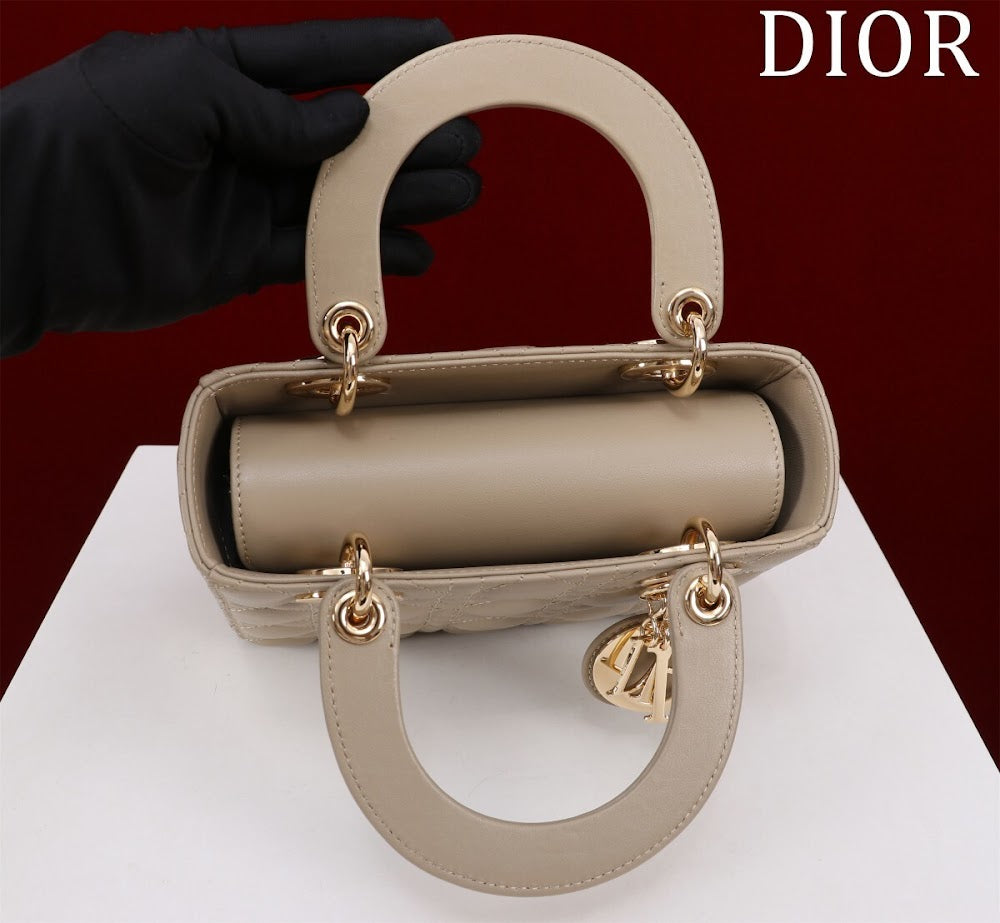 Ezyycart Bags Diorn Luxury Bag --115933