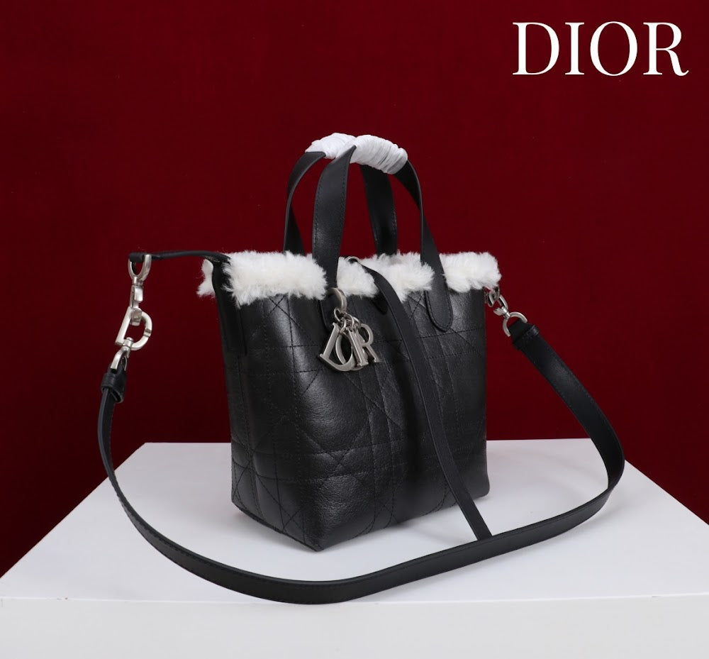Anum Bags Diorn Luxury Bag --114886