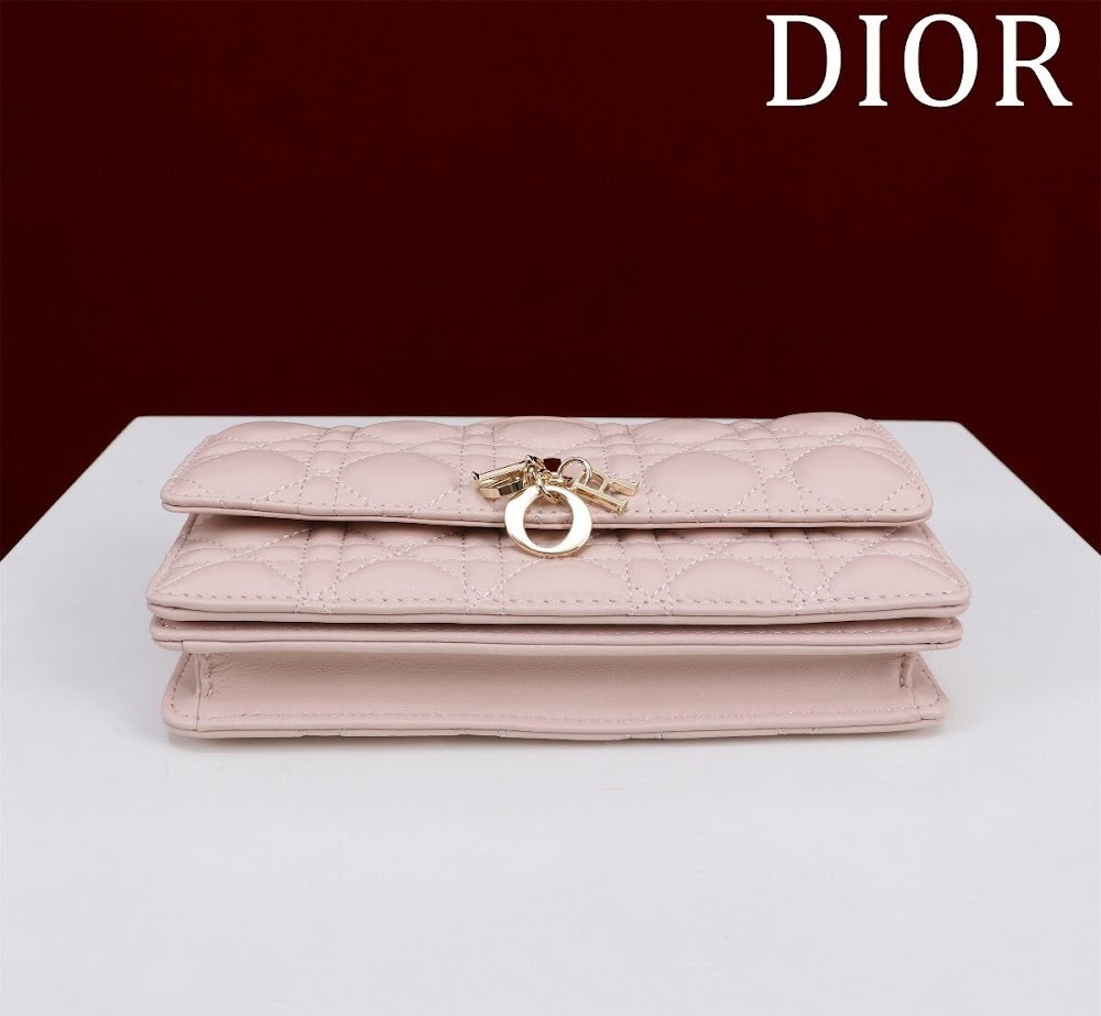 Ezyycart Bags Diorn Luxury Bag --116236