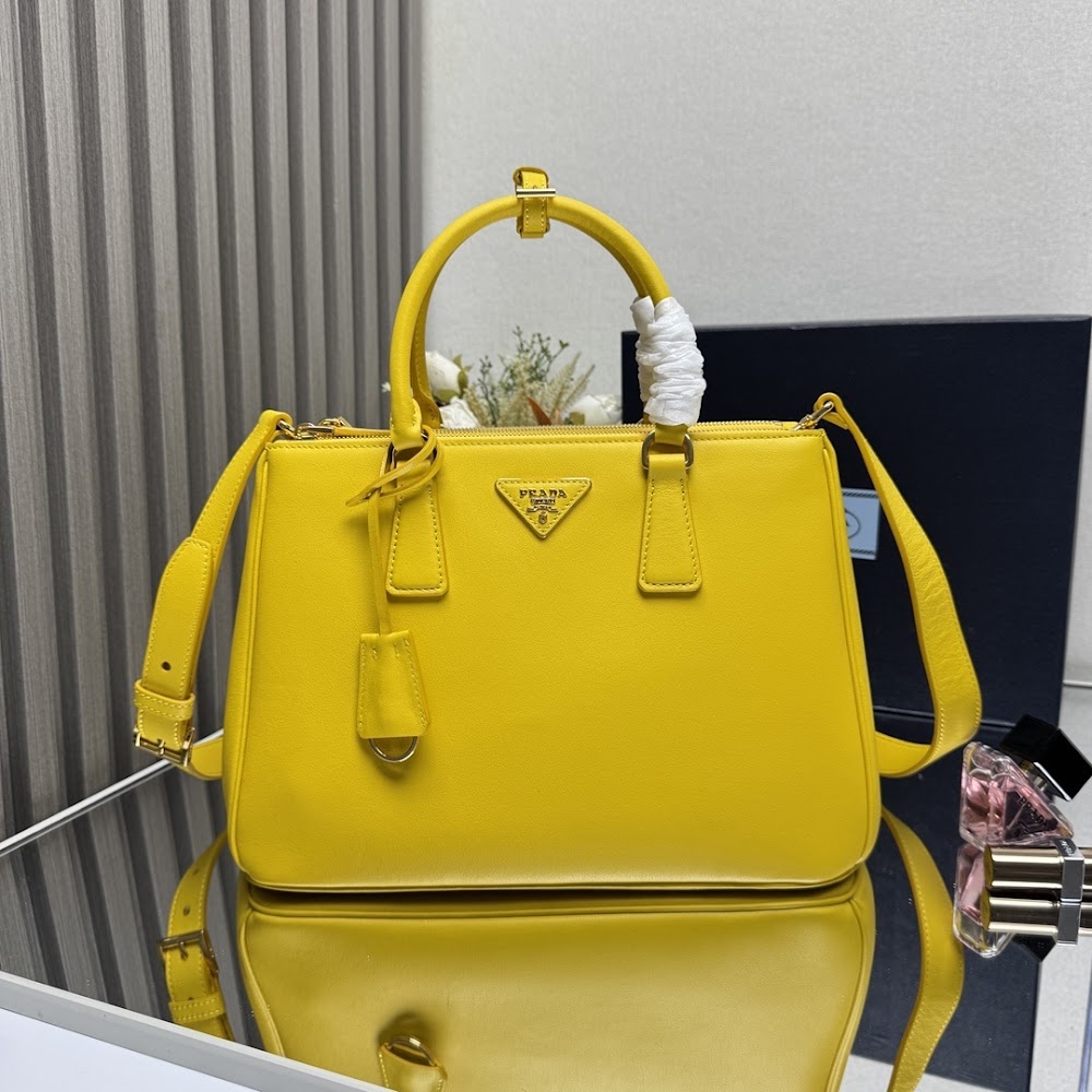 Ezyycart Bags Pradn Luxury Bag --102717