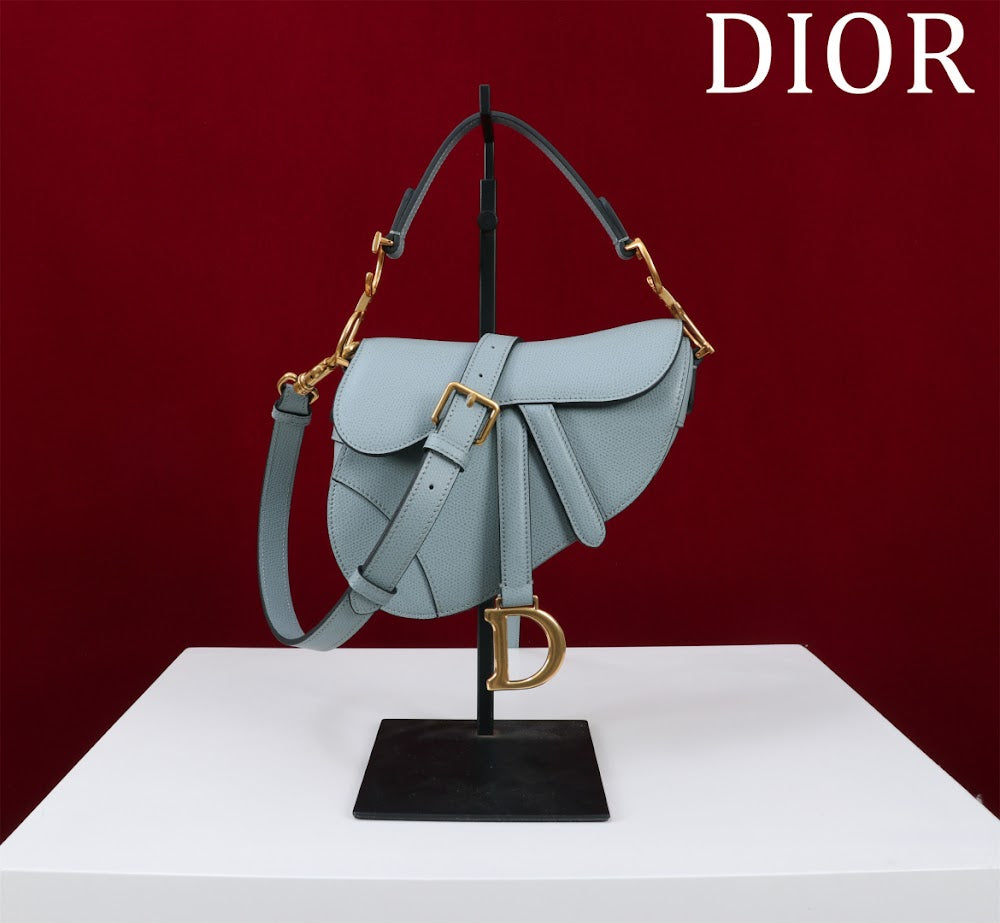 Ezyycart Bags Diorn Luxury Bag --116505