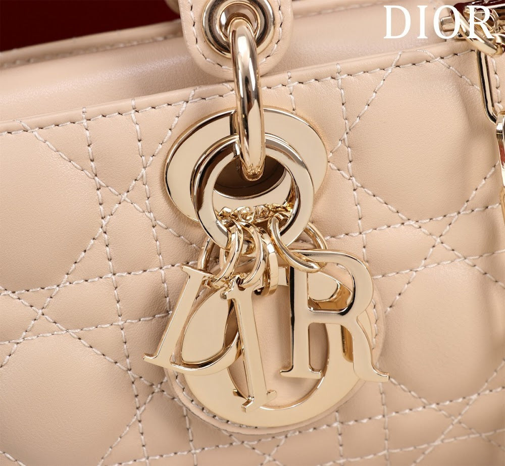 Anum Bags Diorn Luxury Bag --114761