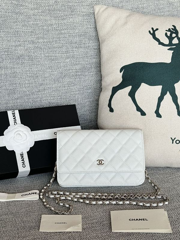 new-luxury-designer-bags-nm19864