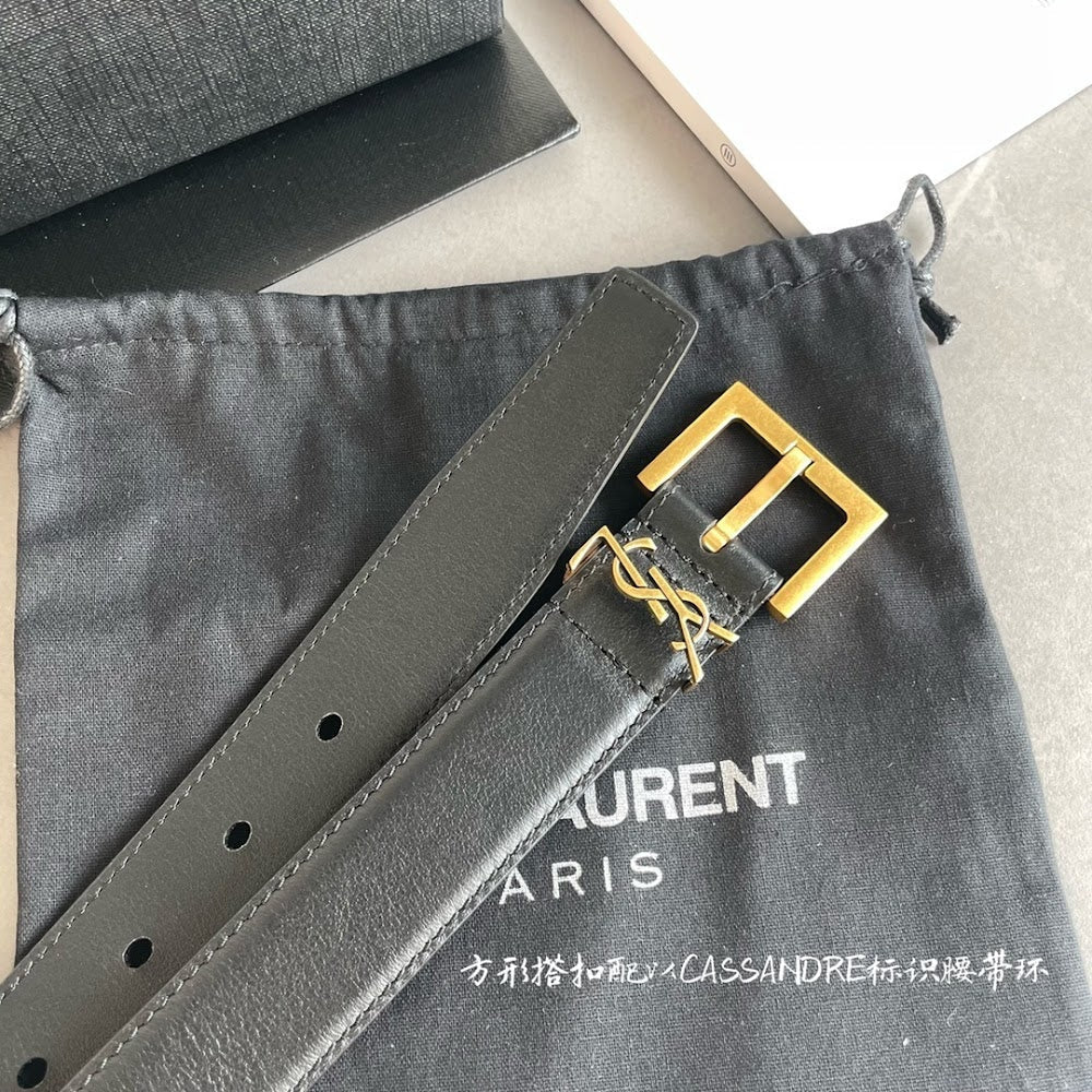 Ezyycart Bags YSLn Luxury Belt --110410