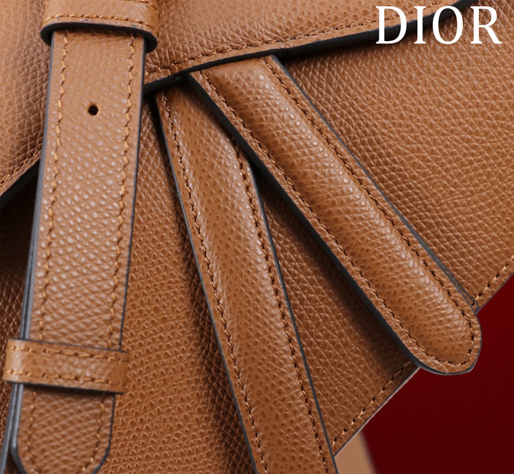 Ezyycart Bags Diorn Luxury Bag --116498