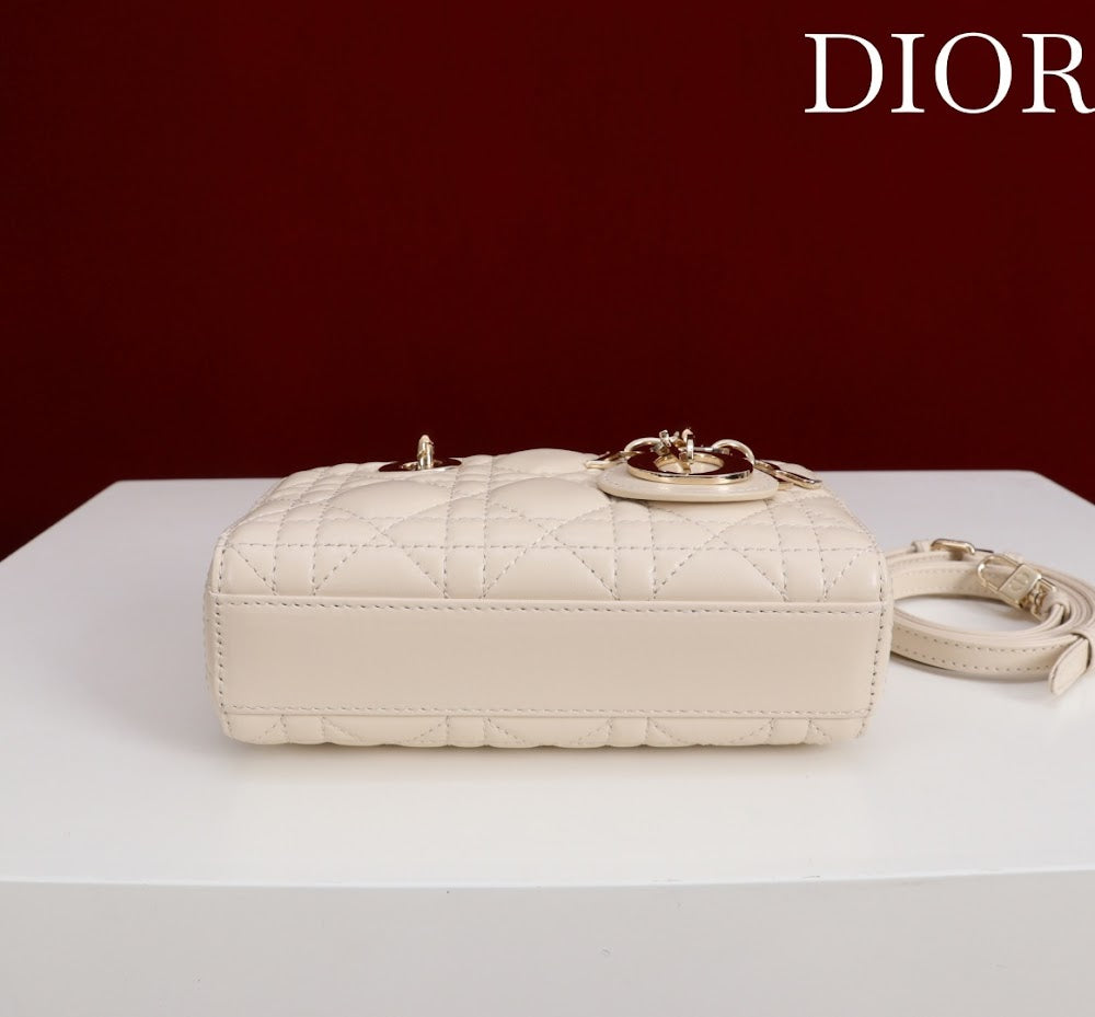 Ezyycart Bags Diorn Luxury Bag --115619