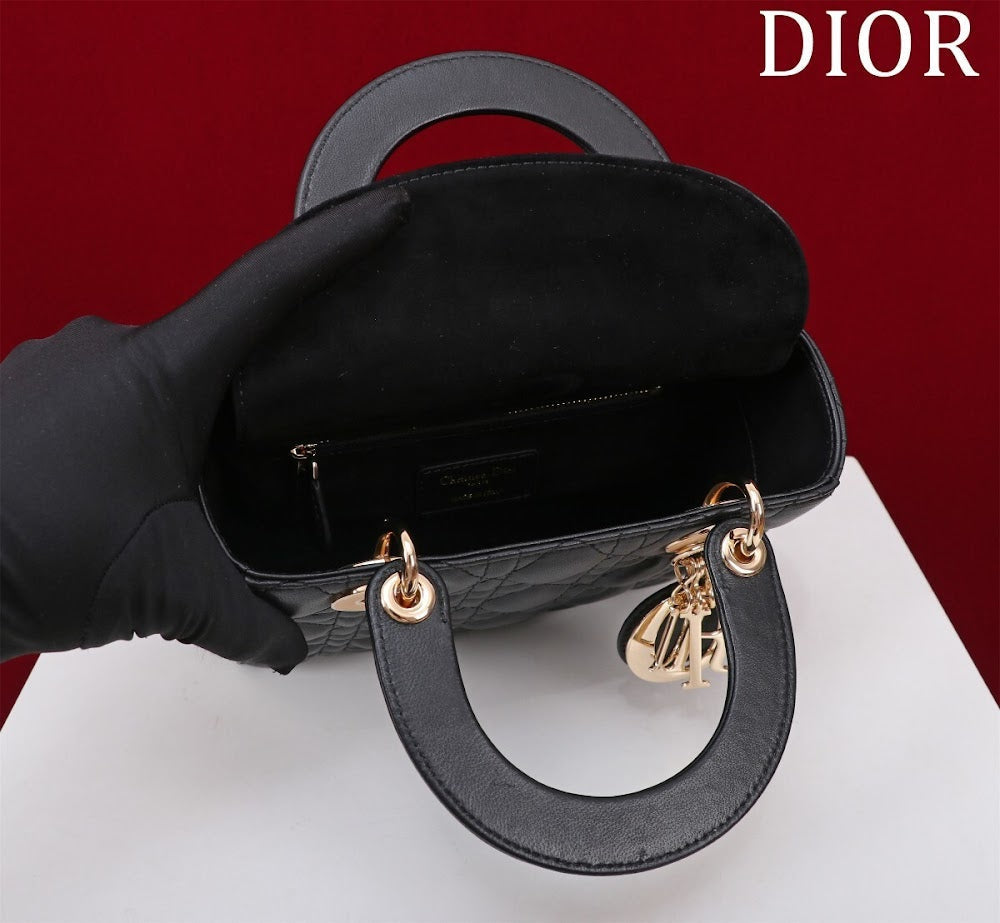 Ezyycart Bags Diorn Luxury Bag --115923