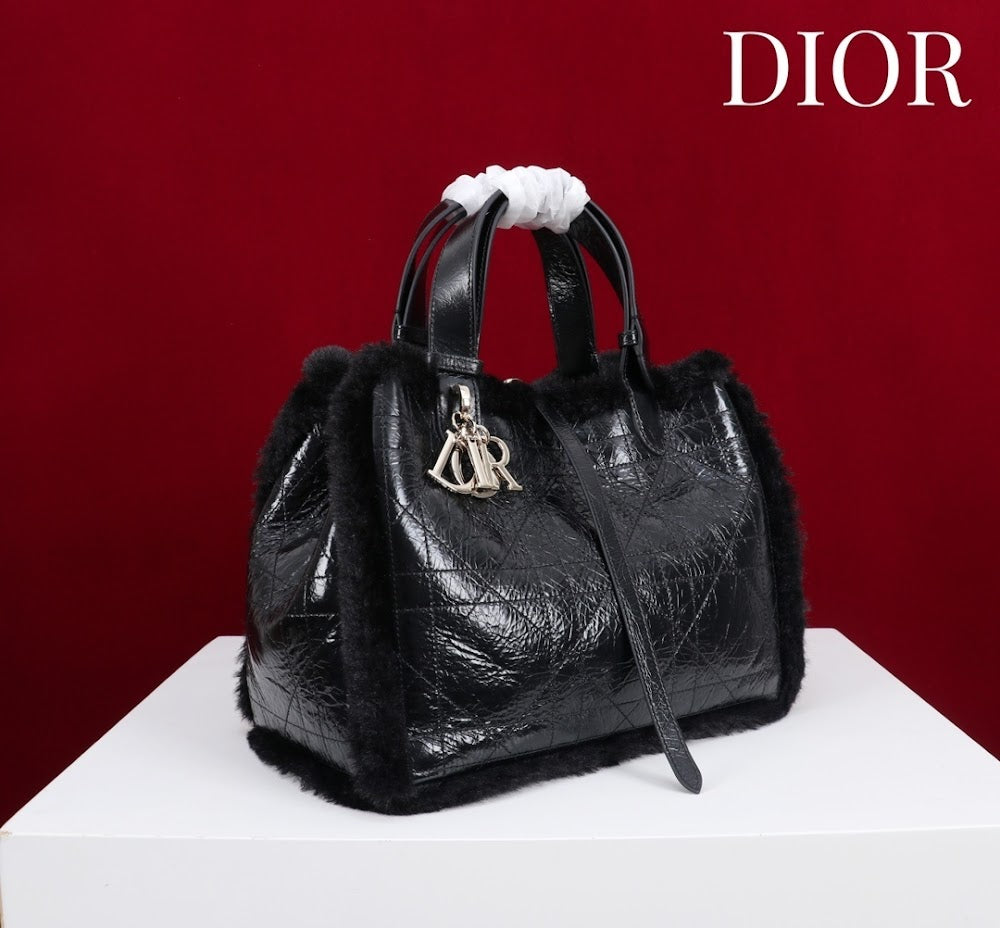 Ezyycart Bags Diorn Luxury Bag --116119