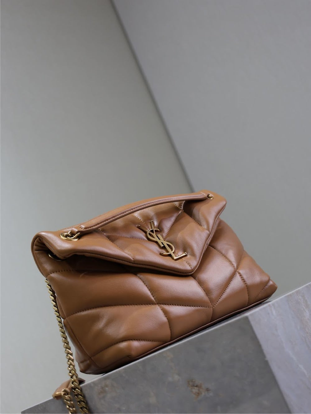 Ezyycart Bags YSLn Luxury Bag --119433