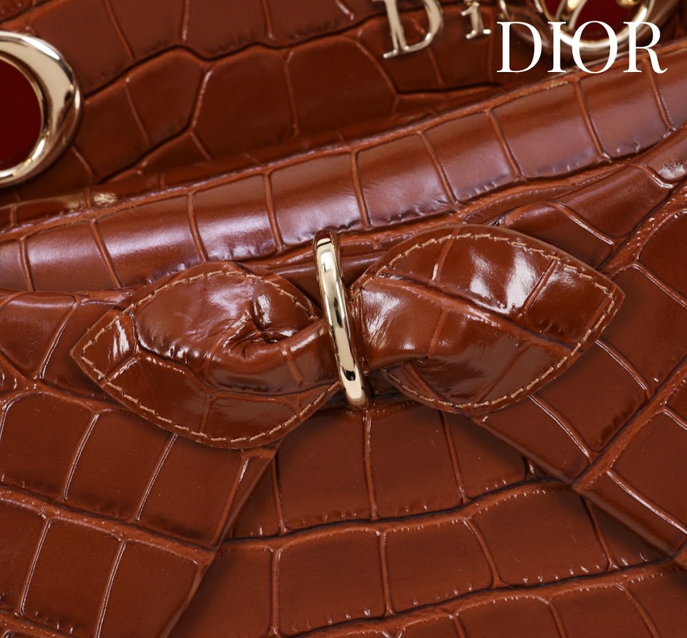 Anum Bags Diorn Luxury Bag --114797