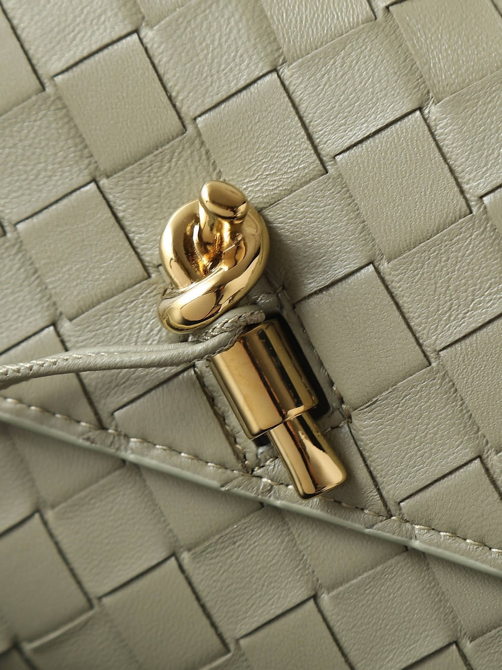 Ezyycart Bags Bottegan Luxury Bag --91396