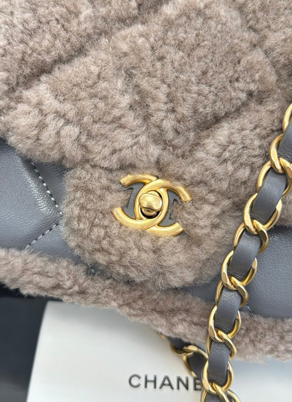 Anum Bags CHn Luxury Bag --112853