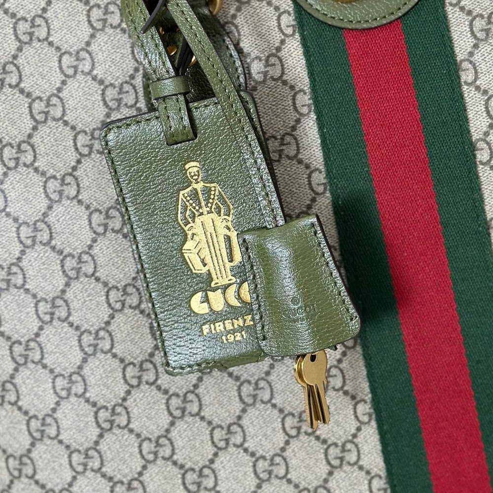 new-designer-premium-bags-nm18115